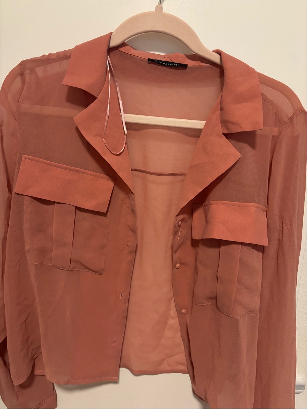 Tahari Men’s Rust Sheer Button-Down Shirt
